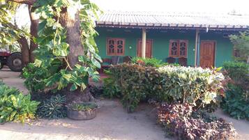 A green house with a porch, a tree, and various plants.