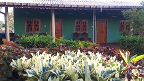 Un bâtiment écologique doté de trois portes et fenêtres en bois, entouré de différentes plantes.