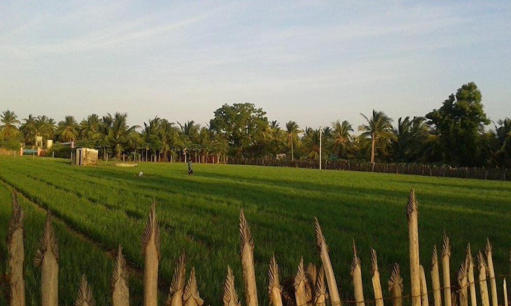 Sea Zone Hotel Nilaveli by null