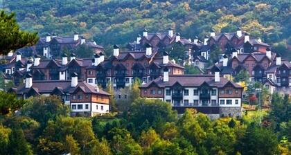 Yongpyong Resort BirchHill Condominium