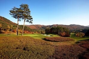 Property grounds - Yongpyong Resort BirchHill Condominium (Pyeongchang)