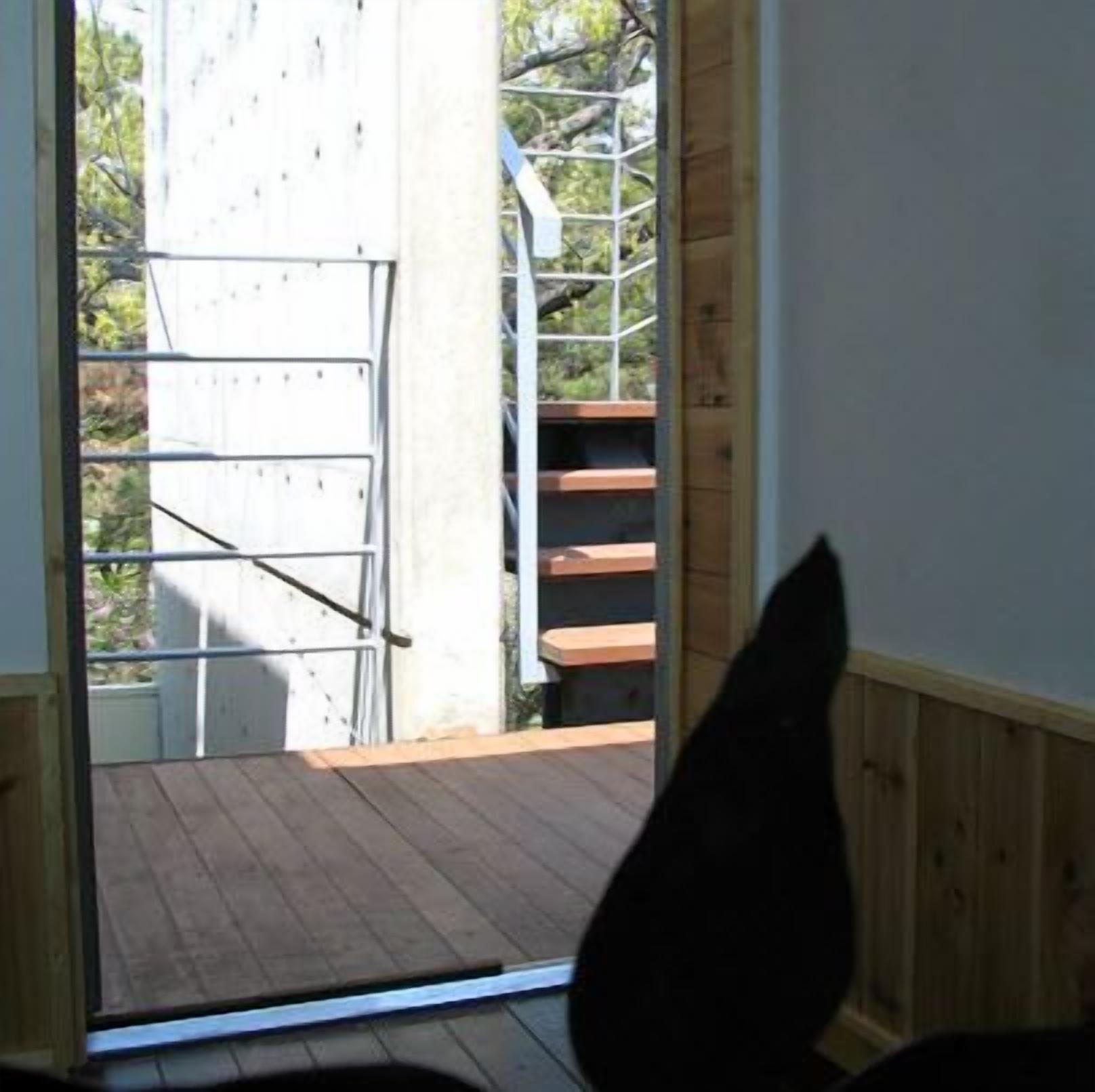 Puisesta laudasta rakennettu terassi, jonka ulkopuolelle johtaa metallinen portaikko.