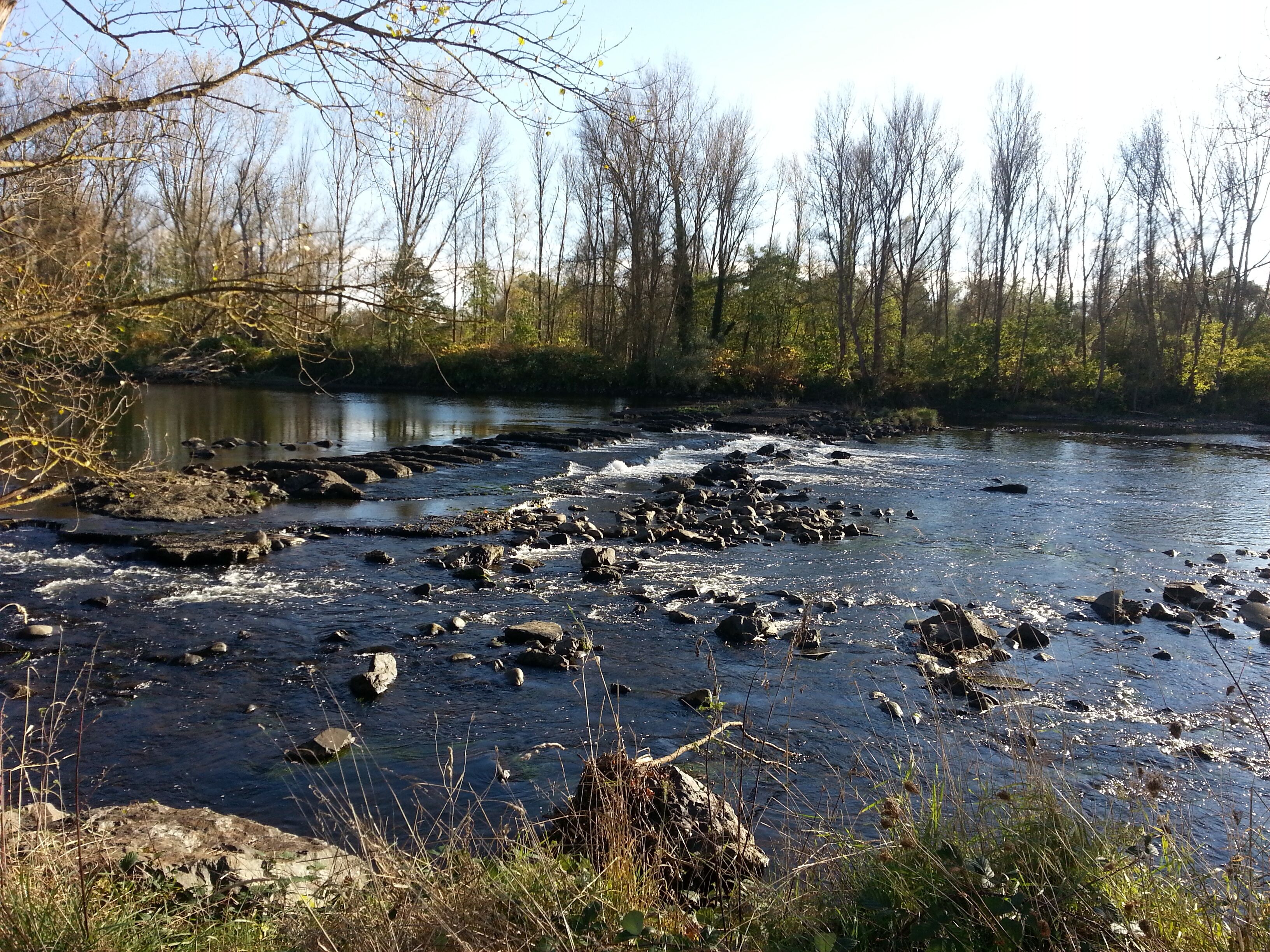 Photo - Les Jardins du Forez
