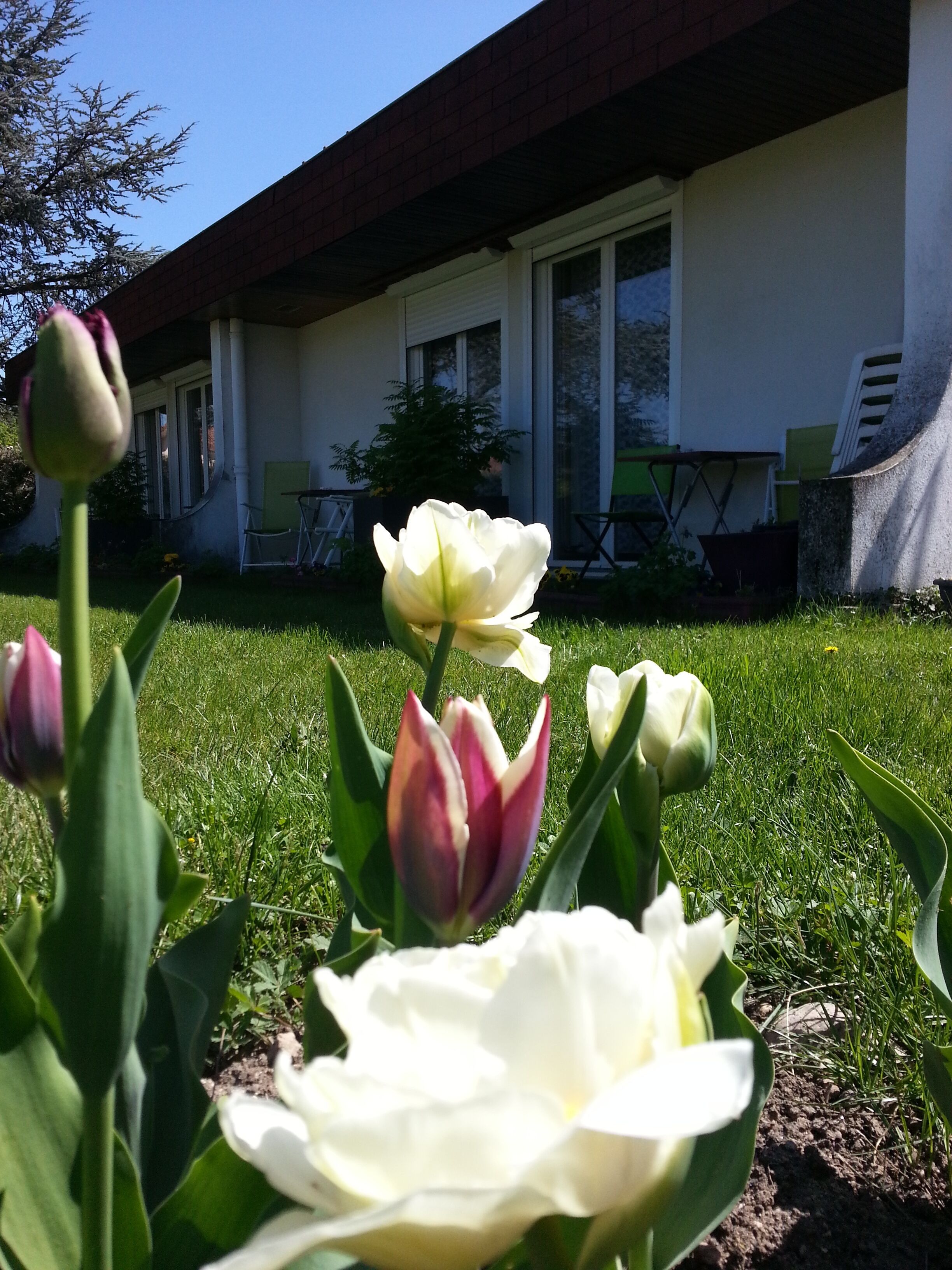 Photo - Les Jardins du Forez