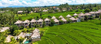 Mesari Hotel Ubud
