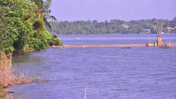 A calm lake with a wooden dock extending into the water, surrounded by lush greenery and a distant view of a hill with buildings.