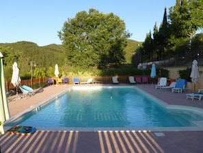 A swimming pool with lounge chairs and umbrellas, surrounded by a wooden fence and trees.