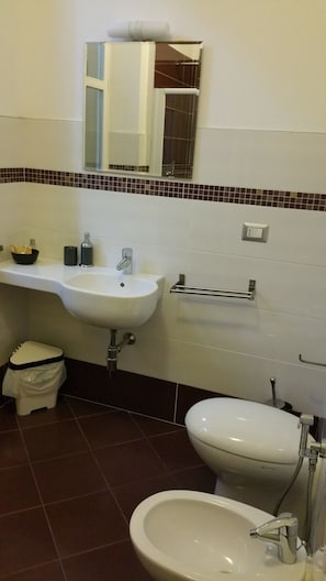 Shower, free toiletries, hair dryer, bidet