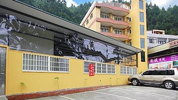 Free self-parking