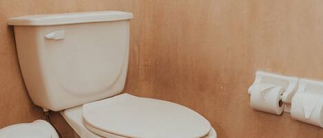 Un bagno con il water, un cestino e un portasciugamani.