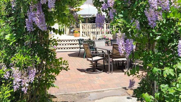 Un jardín con un pérgola cubierta de flores moradas, un patio con mobiliario exterior y una cerca blanca.