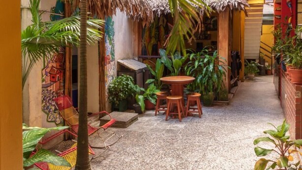 A narrow outdoor corridor with a thatched-roof structure, a small table with chairs, and various potted plants. - Flying Dog Hostels Iquitos (Iquitos)