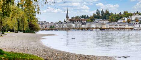 A waterfront promenade with a row of buildings, a church spire, and a willow tree.