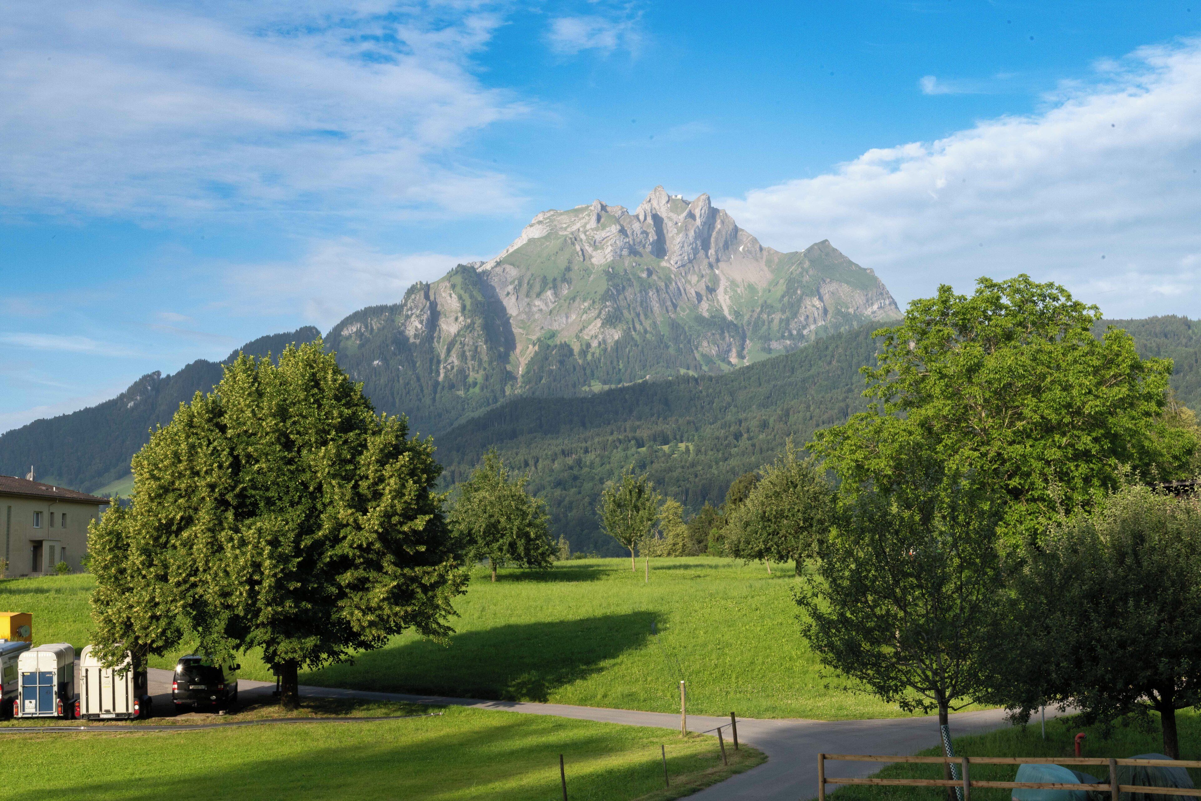 A rural landscape with a mountain in the background, a road, and a few trees.