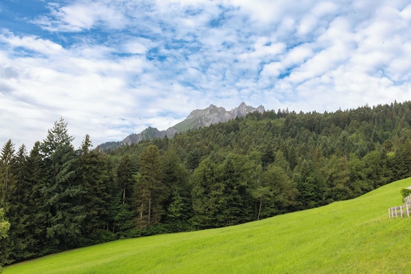 Un campo verde con una cadena montañosa al fondo.