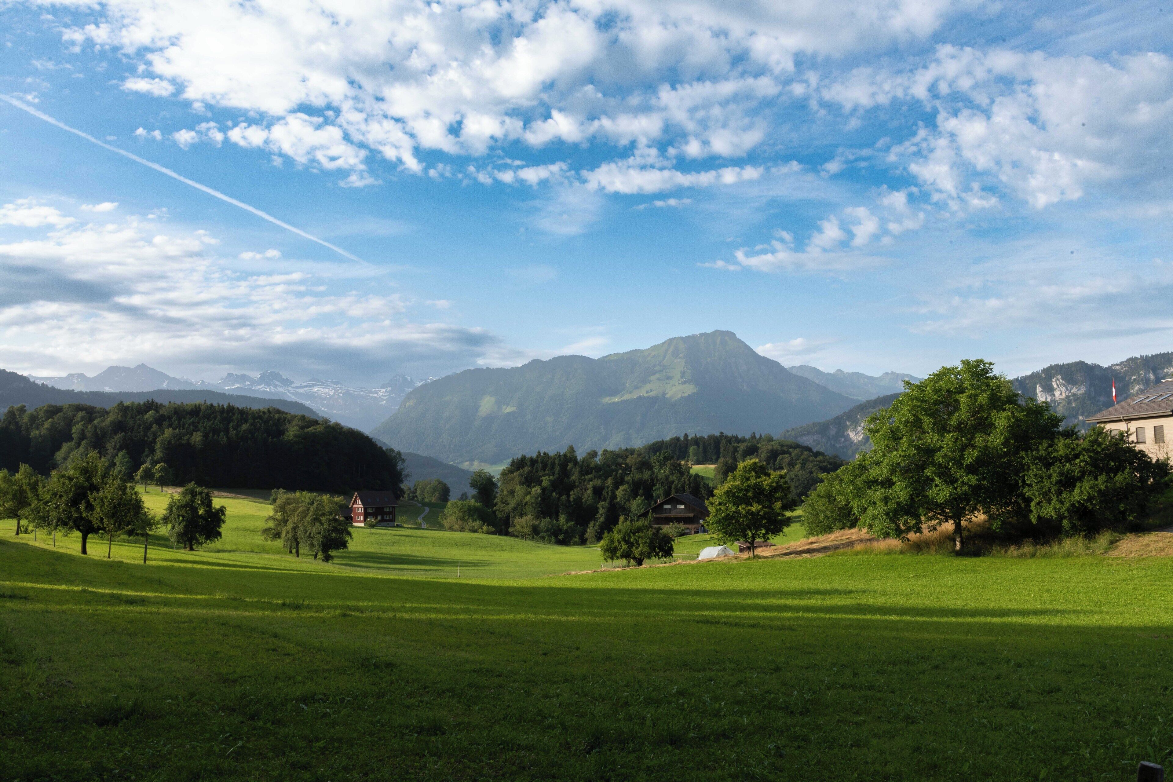 Un paysage rural caractérisé par un ciel dégagé, des champs verdoyants et des montagnes lointaines.