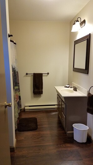 A bathroom with a wooden floor, a white sink, a mirror, and a towel rack. - Green Haven Resort (Lake George)
