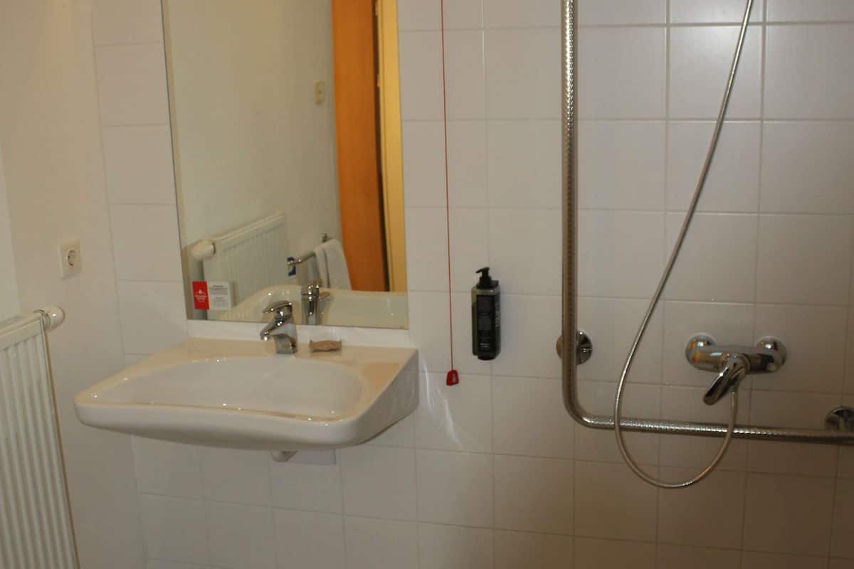 A bathroom with a white sink, a mirror, a shower with a handheld showerhead, and a handheld shower attachment.