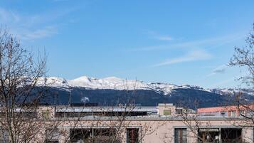 Chambre avec lits jumeaux, 3 lits une place | Vue de la chambre