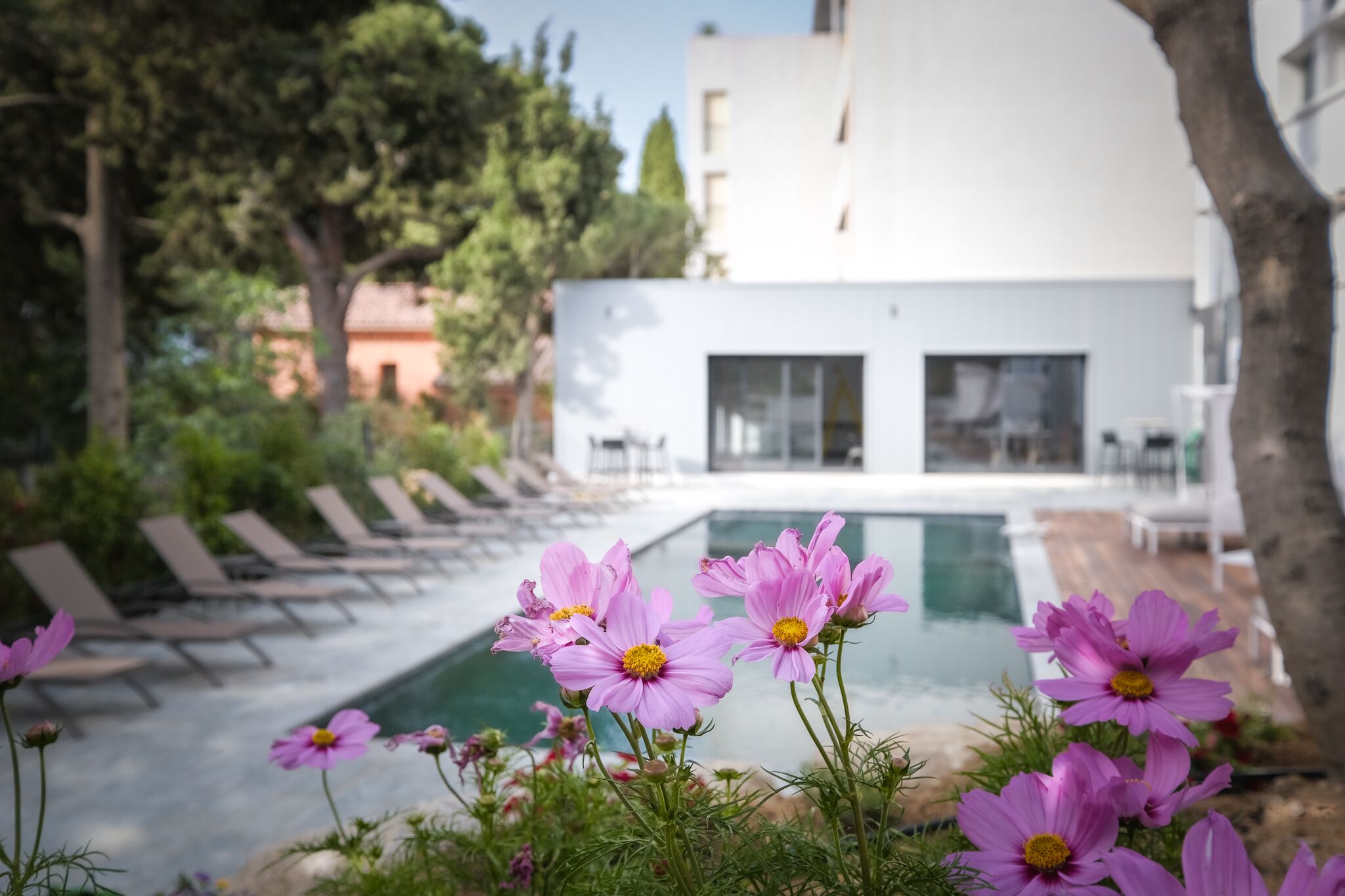 A pool area with lounge chairs and pink flowers in the foreground.