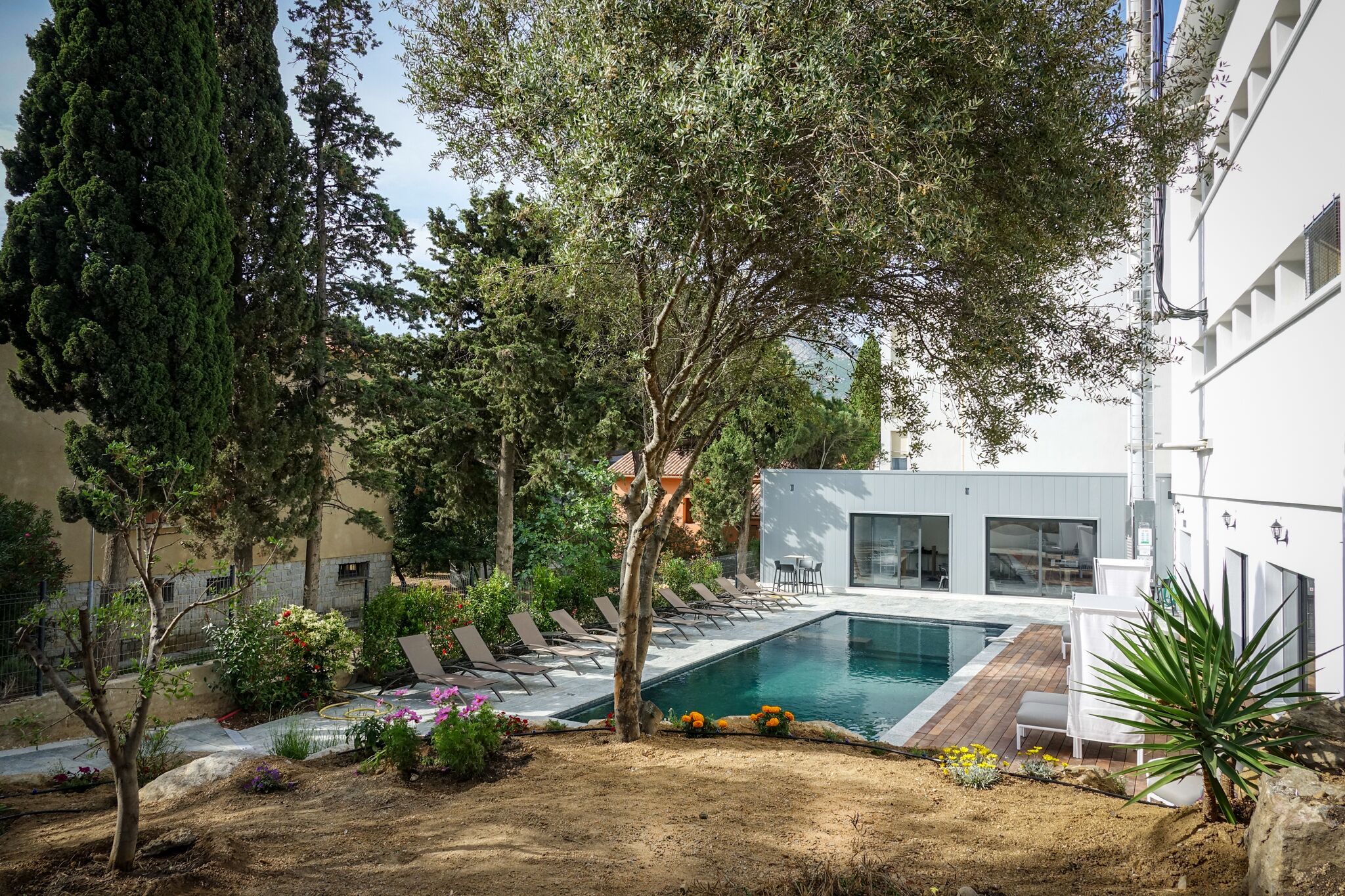 A modern outdoor pool area with lounge chairs, a swimming pool, and surrounding greenery.