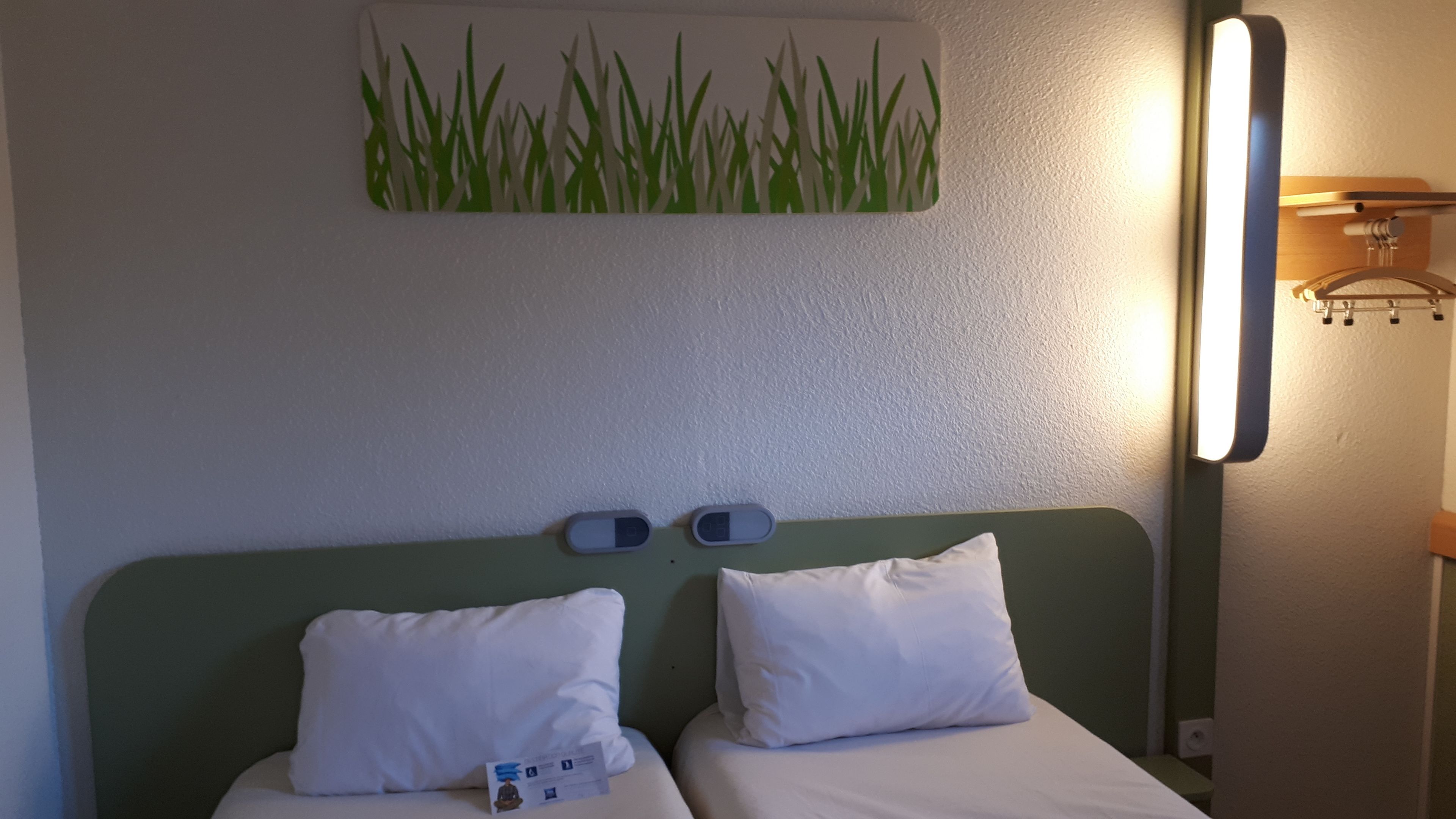 Habitación de hotel con cama, dos almohadas, mesita de noche, lámpara de pared y un adorno de pared con motivos de hierba.