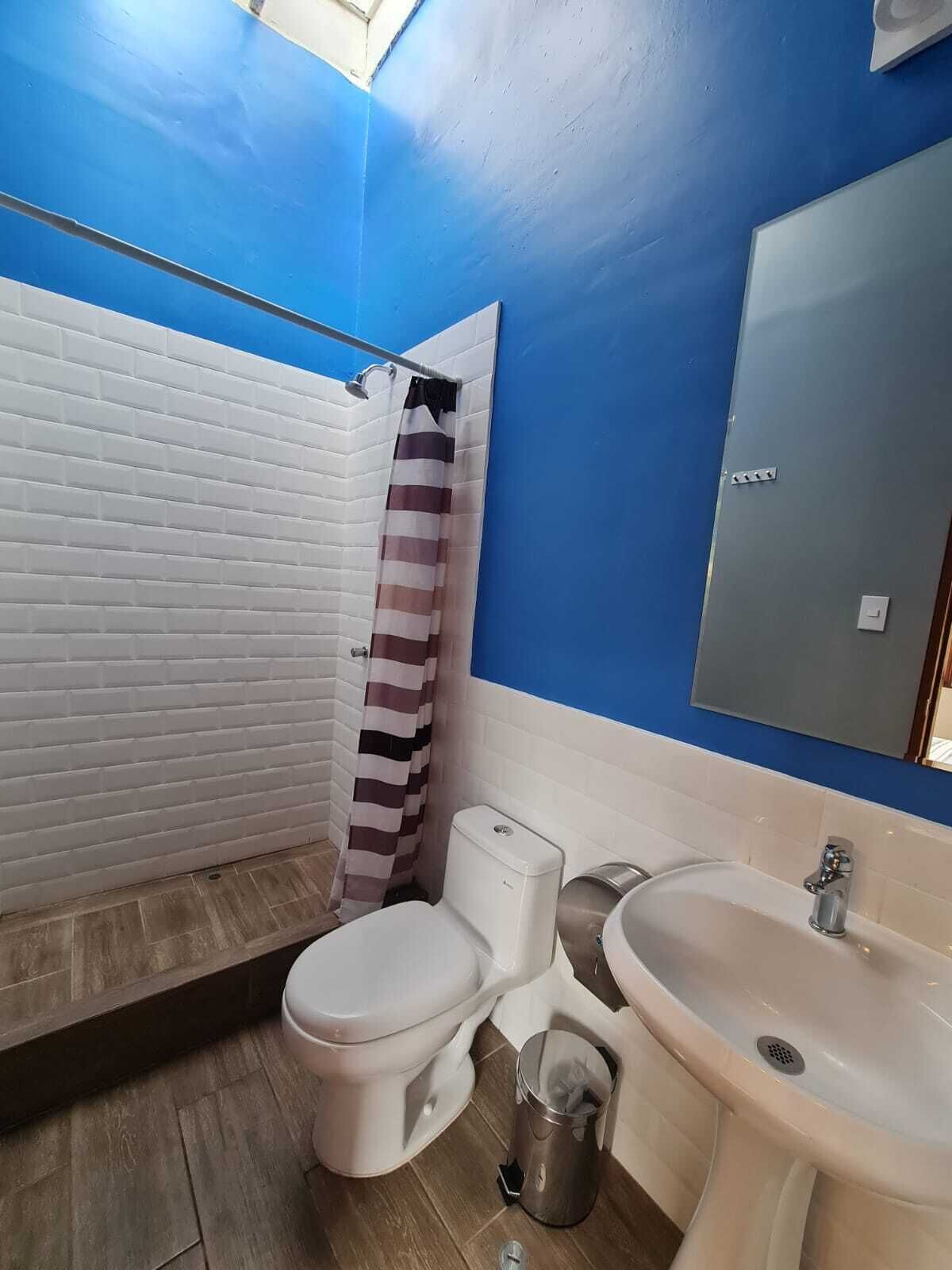 Photo - Flying Dog Hostel