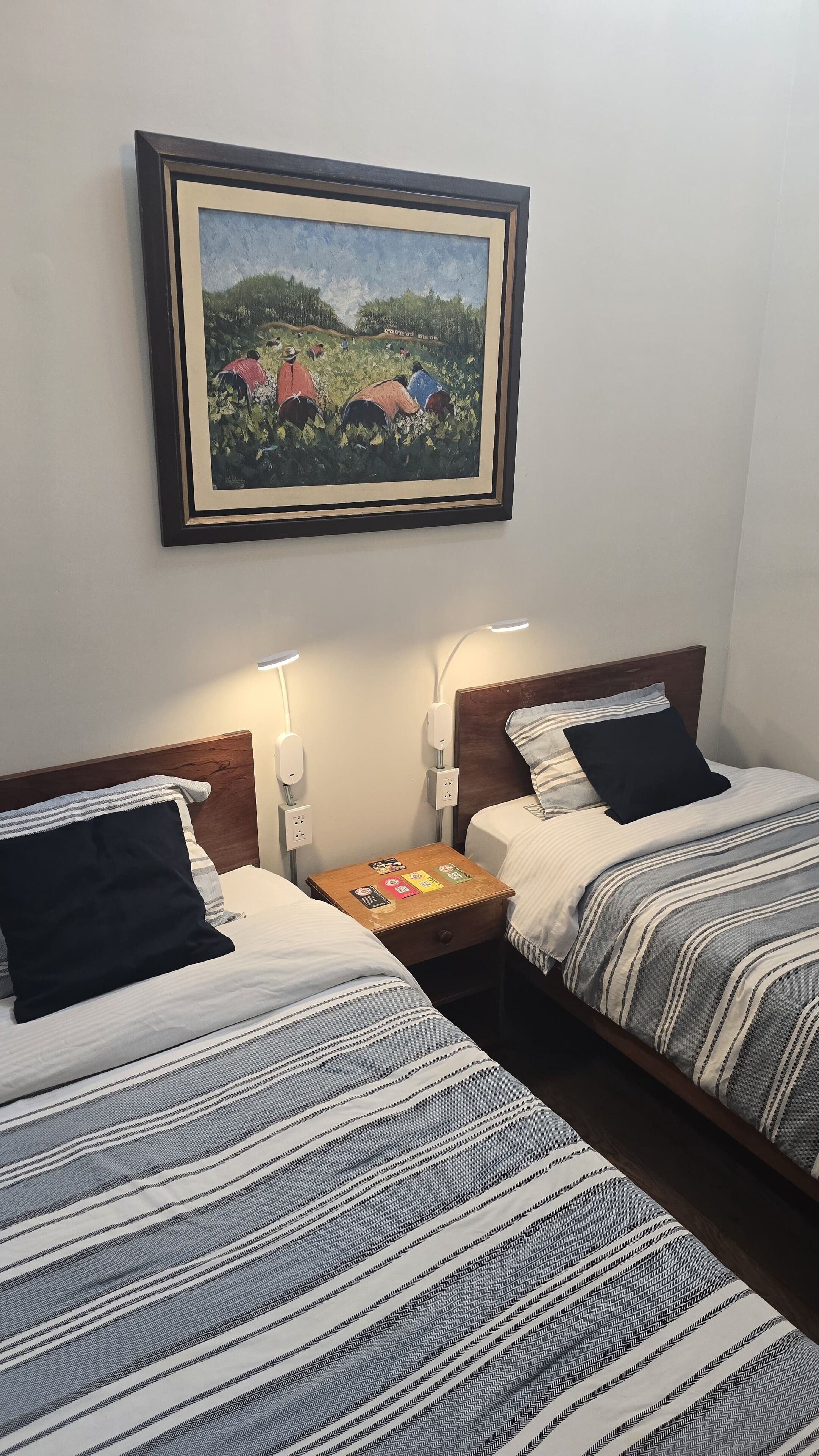 Photo - Flying Dog Hostel