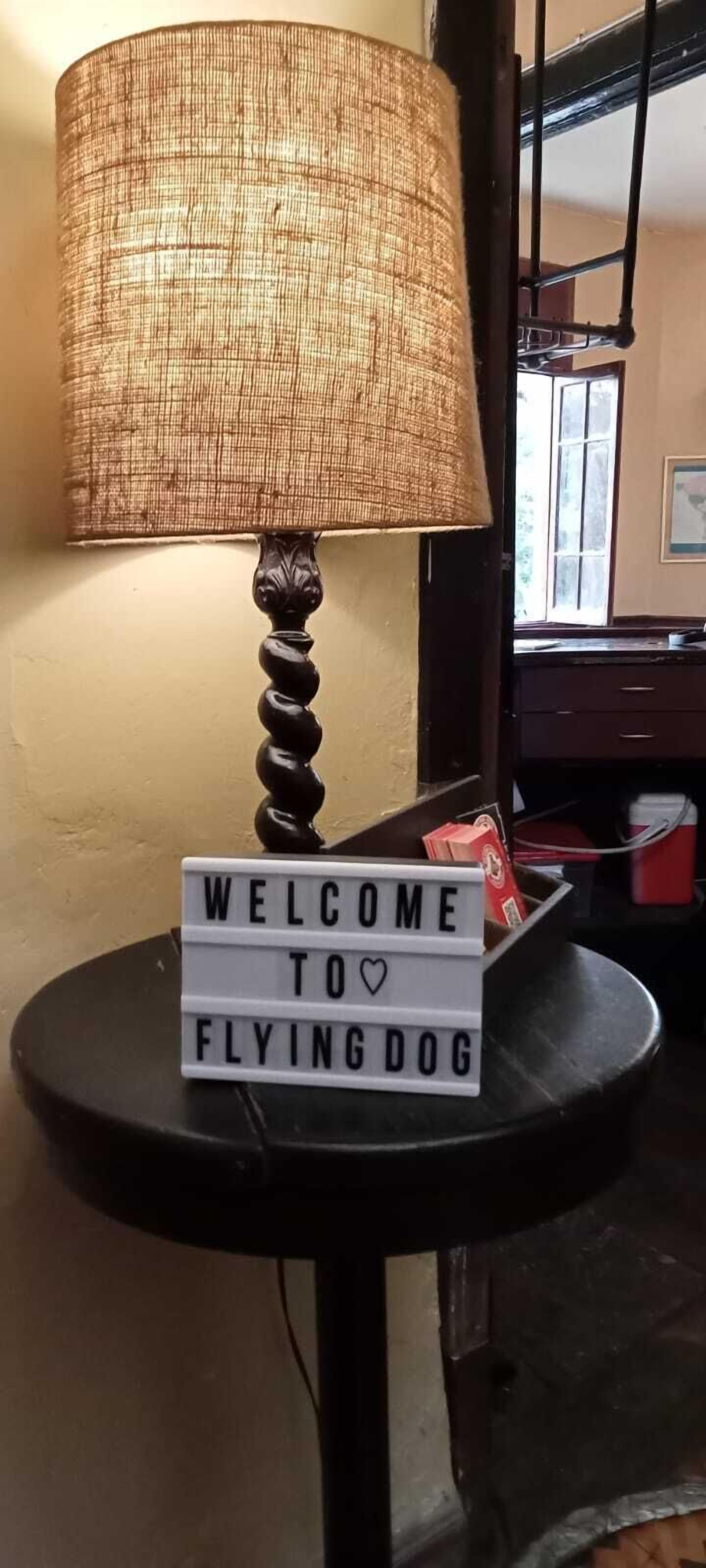Photo - Flying Dog Hostel