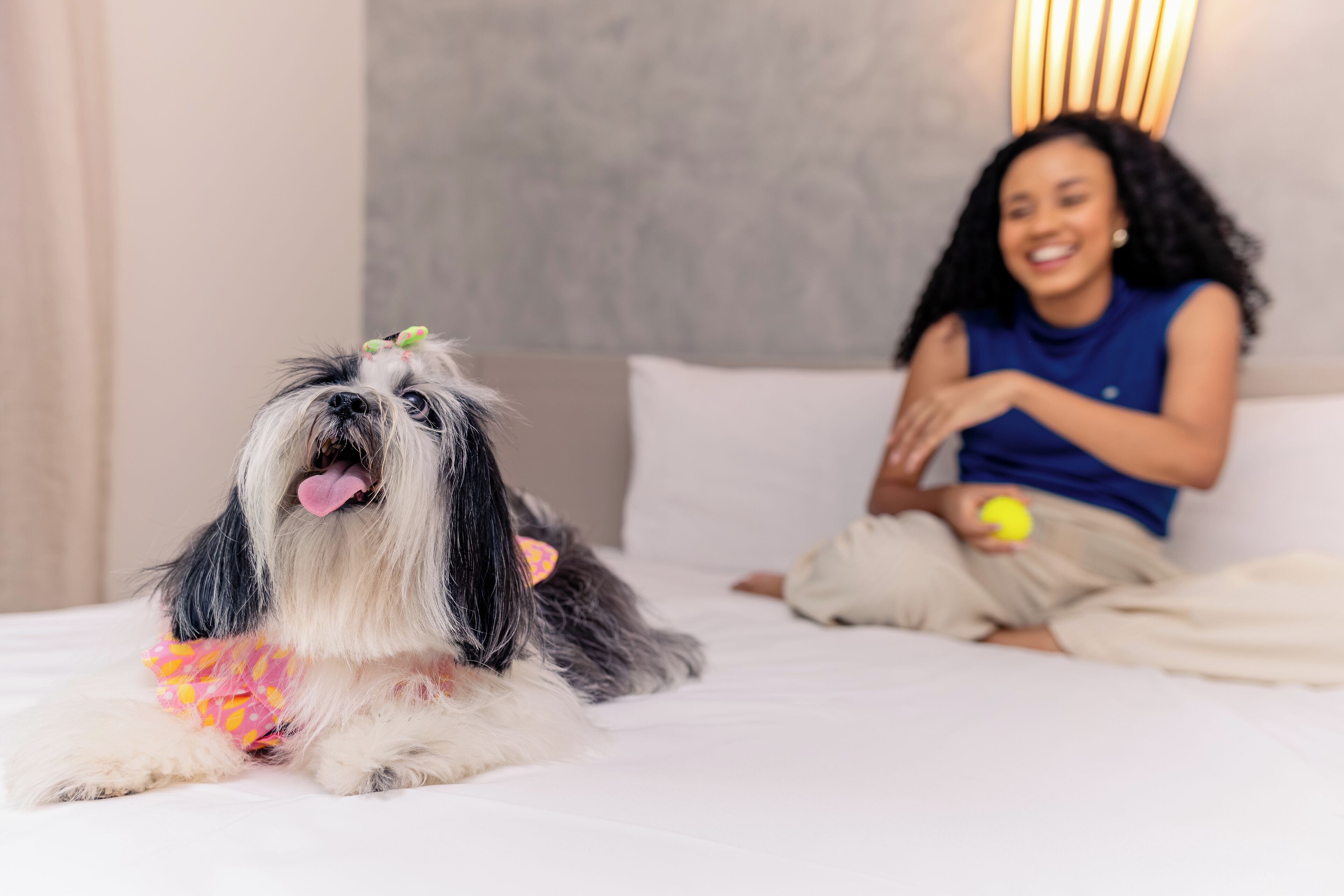 A dog lying on a bed with a person sitting beside it.