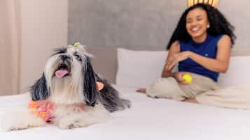 A dog lying on a bed with a person sitting beside it.