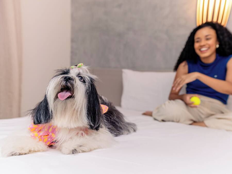 A dog lying on a bed with a person sitting beside it.