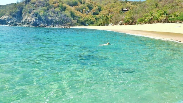 Una playa despejada con una persona nadando en el agua, rodeada de abundante vegetación y un litoral rocoso.