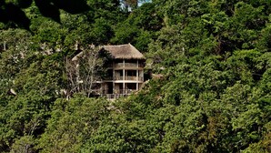Un edificio de varios pisos con techo de paja, rodeado de un bosque frondoso.