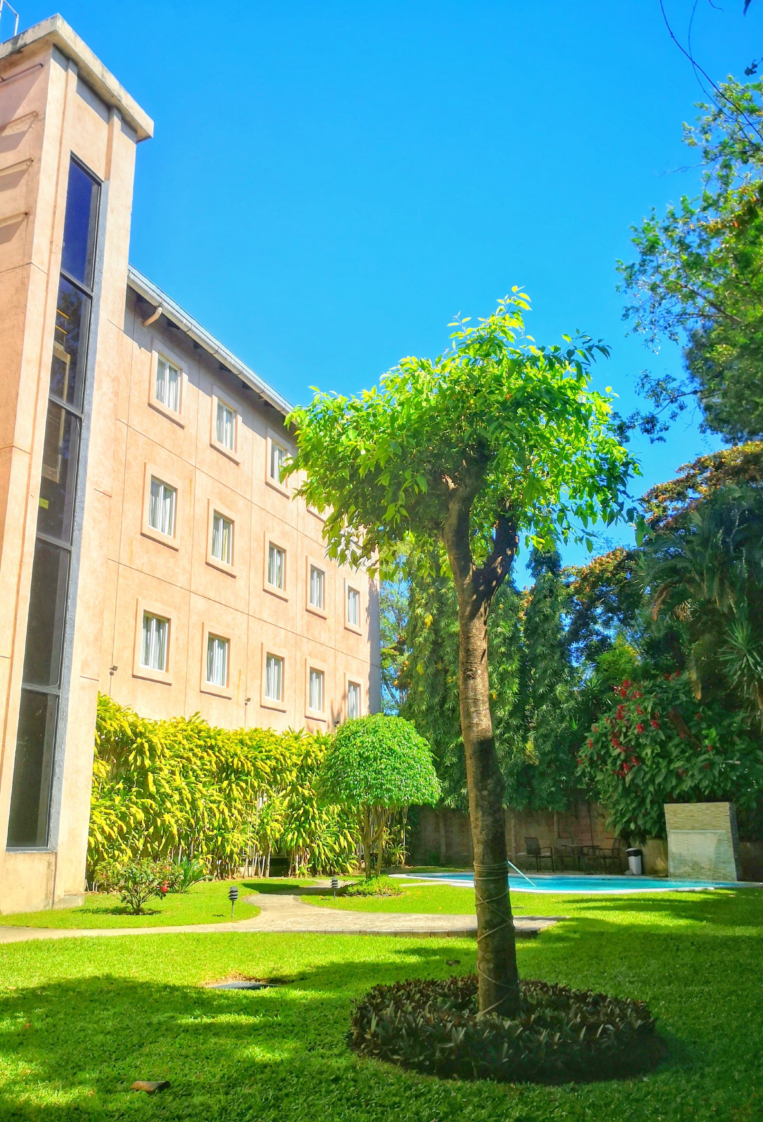 Photo - Hotel Gardenia Inn