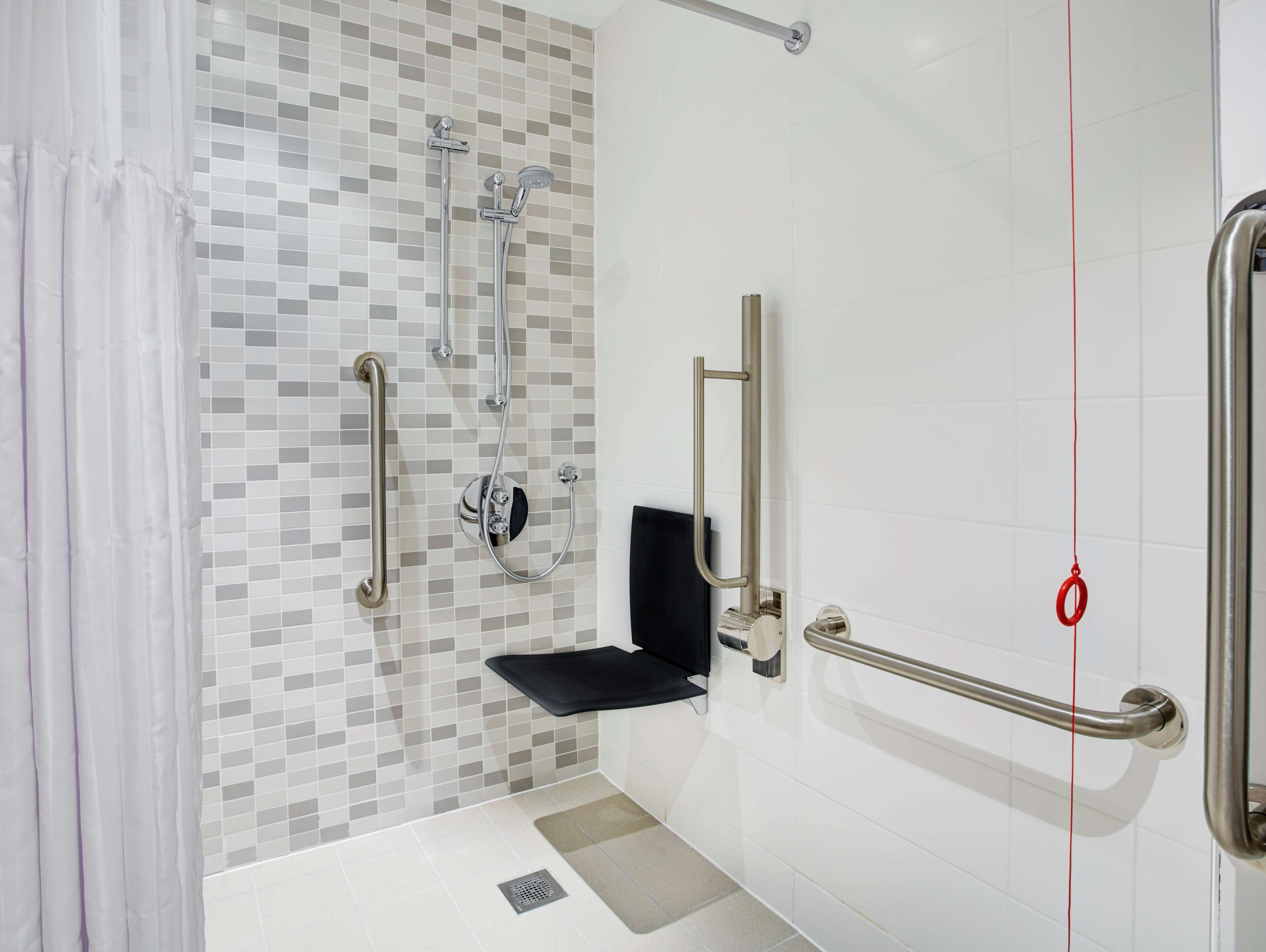 room, 1 queen bed, accessible, non smoking | bathroom | shower, free toiletries, towels