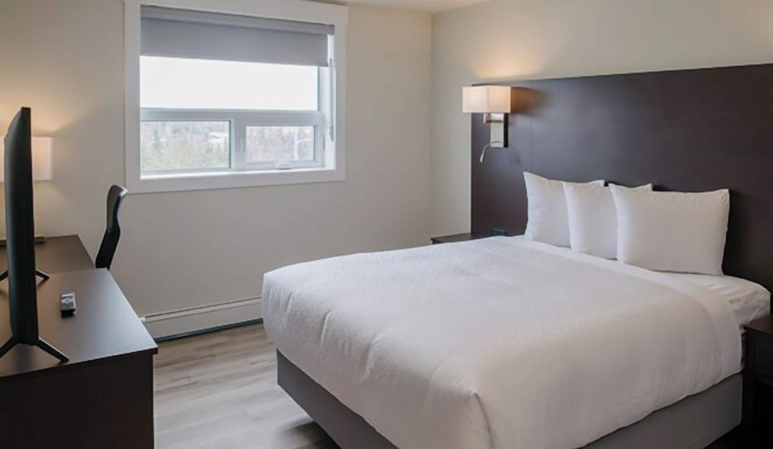 executive apartment, 1 queen bed with sofa bed | premium bedding, pillow-top beds, in-room safe, desk