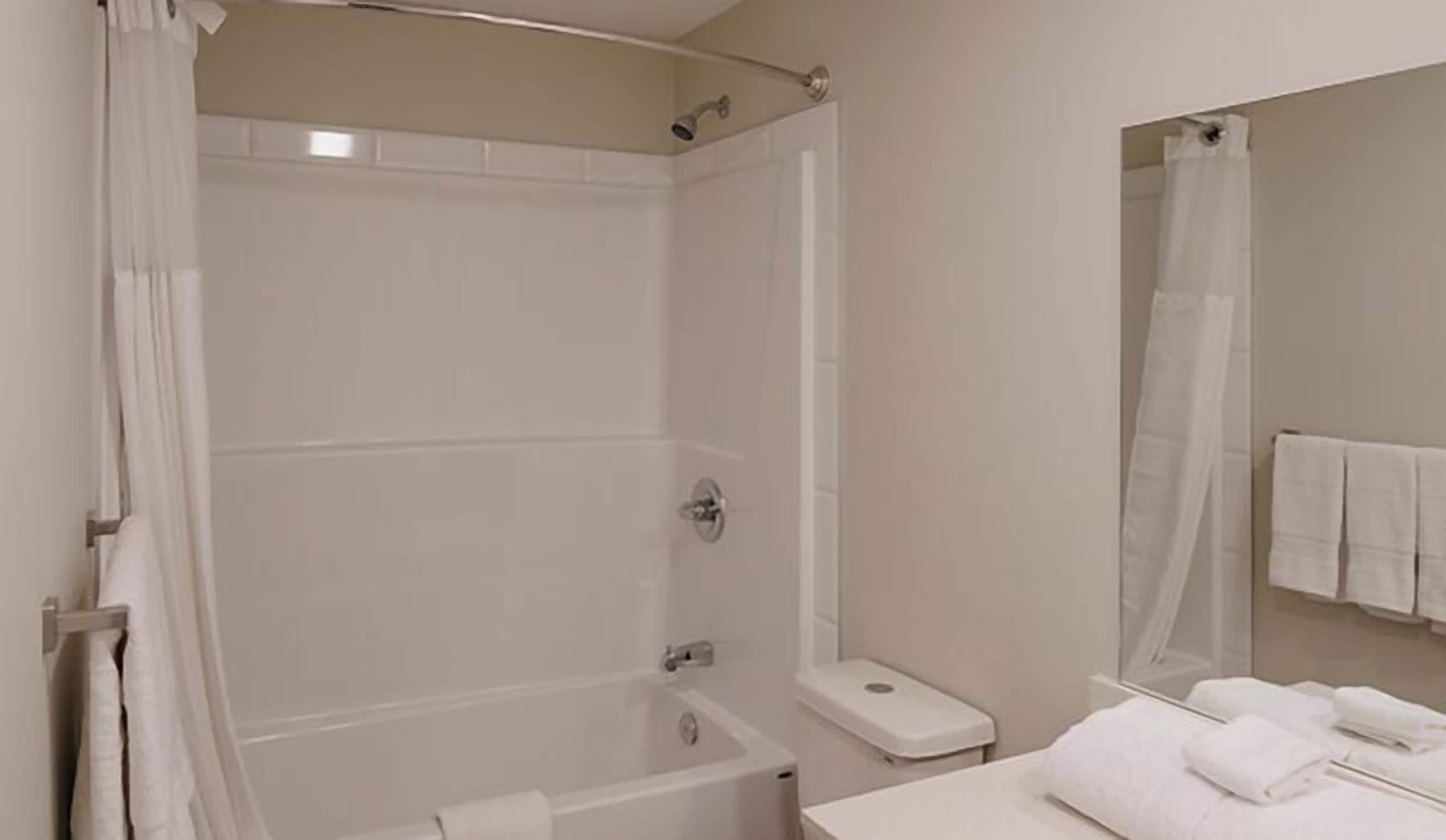 executive apartment, 1 queen bed with sofa bed | bathroom | combined shower/bathtub, free toiletries, hair dryer, towels