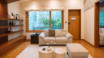 Presidential House | Living area | LED TV, fireplace, heated floors