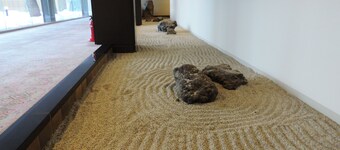 Hotel Grand Terrace Chitose