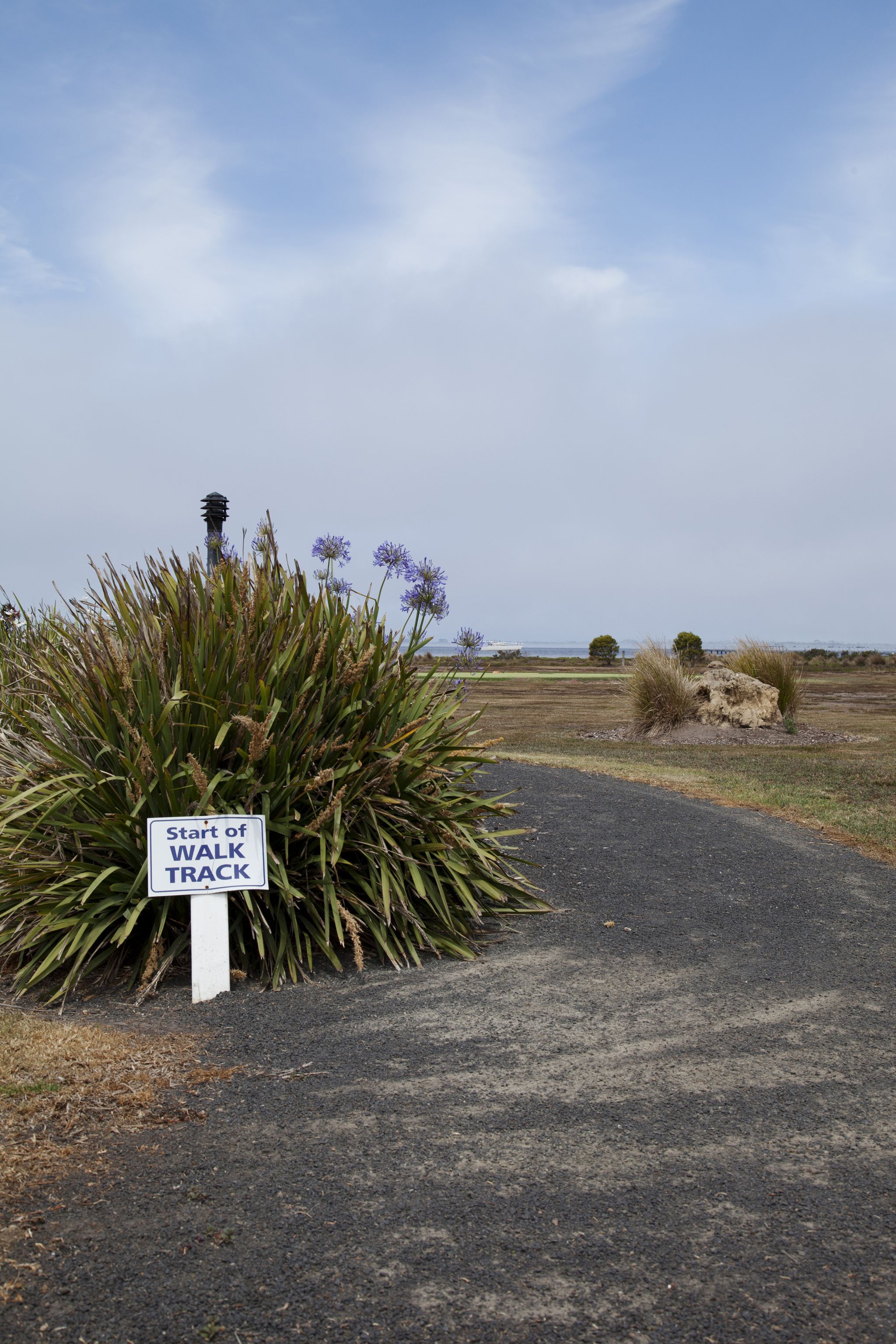 A sign indicating the start of a walk track, surrounded by vegetation and a clear sky.