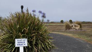 A sign indicating the start of a walk track, surrounded by vegetation and a clear sky.