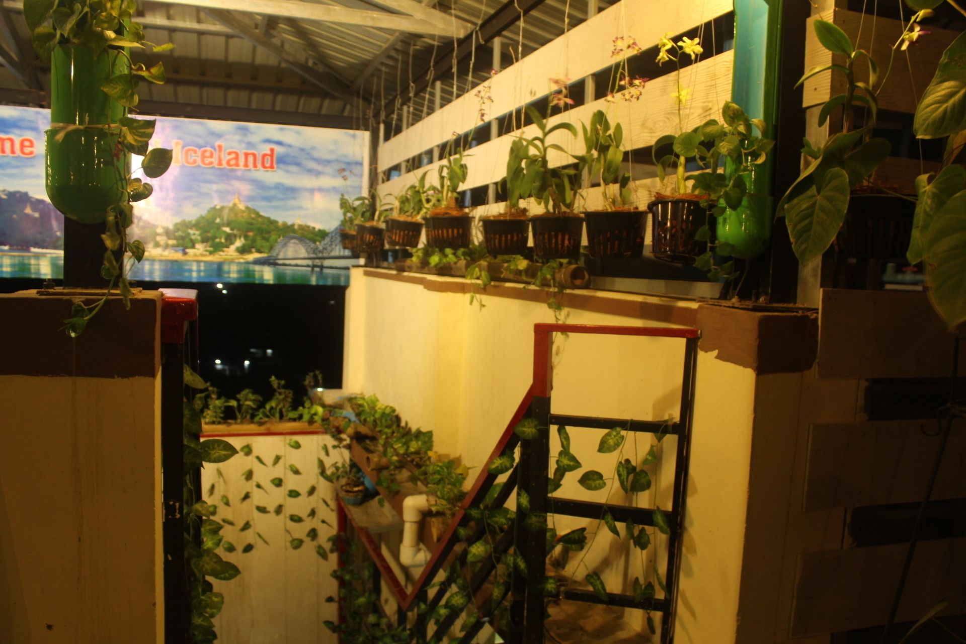 A multi-level indoor space with various potted plants and a large poster of a scenic landscape.