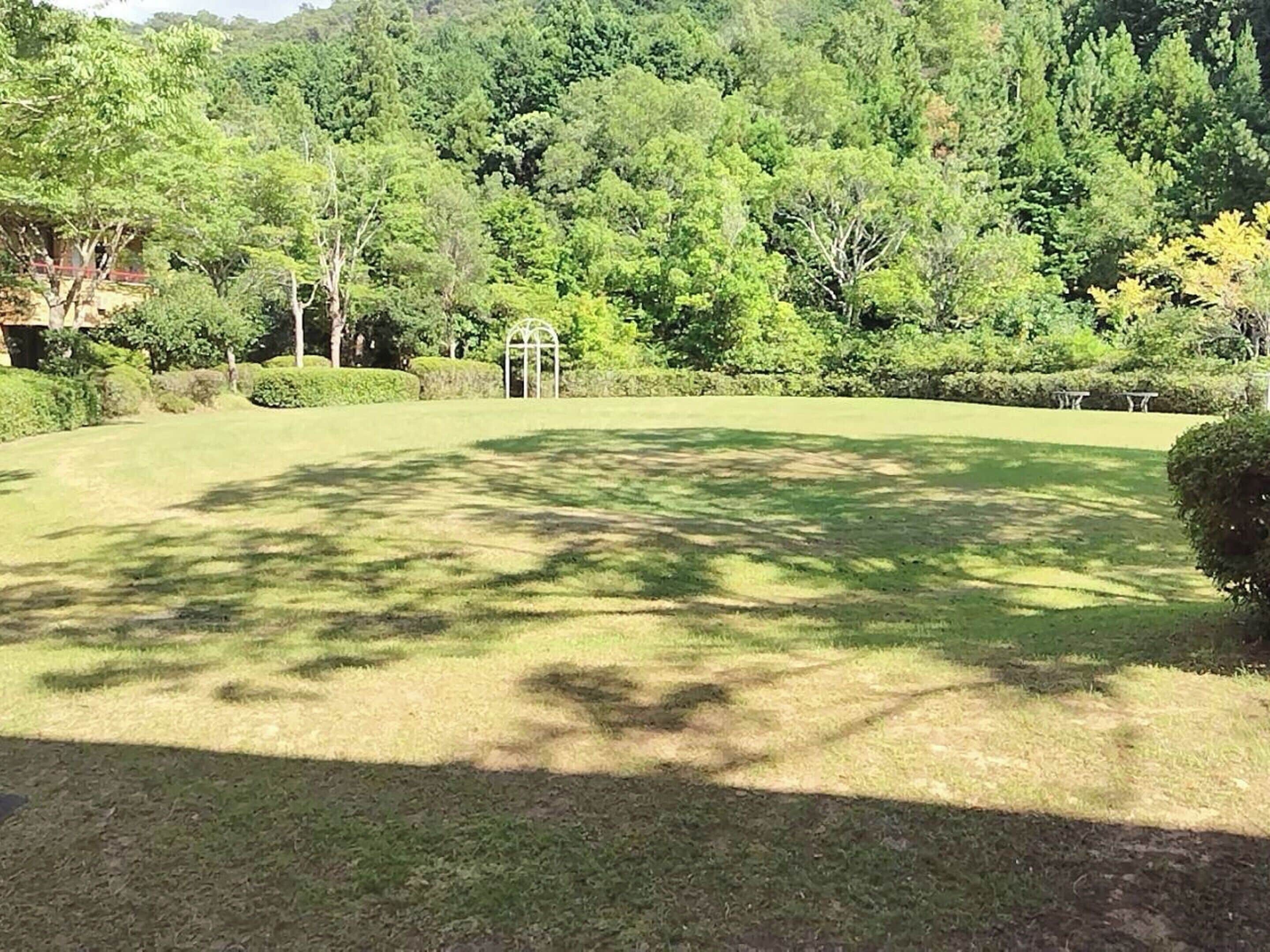 A well-maintained lawn with a gazebo and a hedge in the foreground.