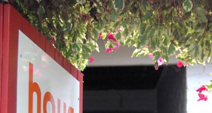 Haus Accommodation - Hostel