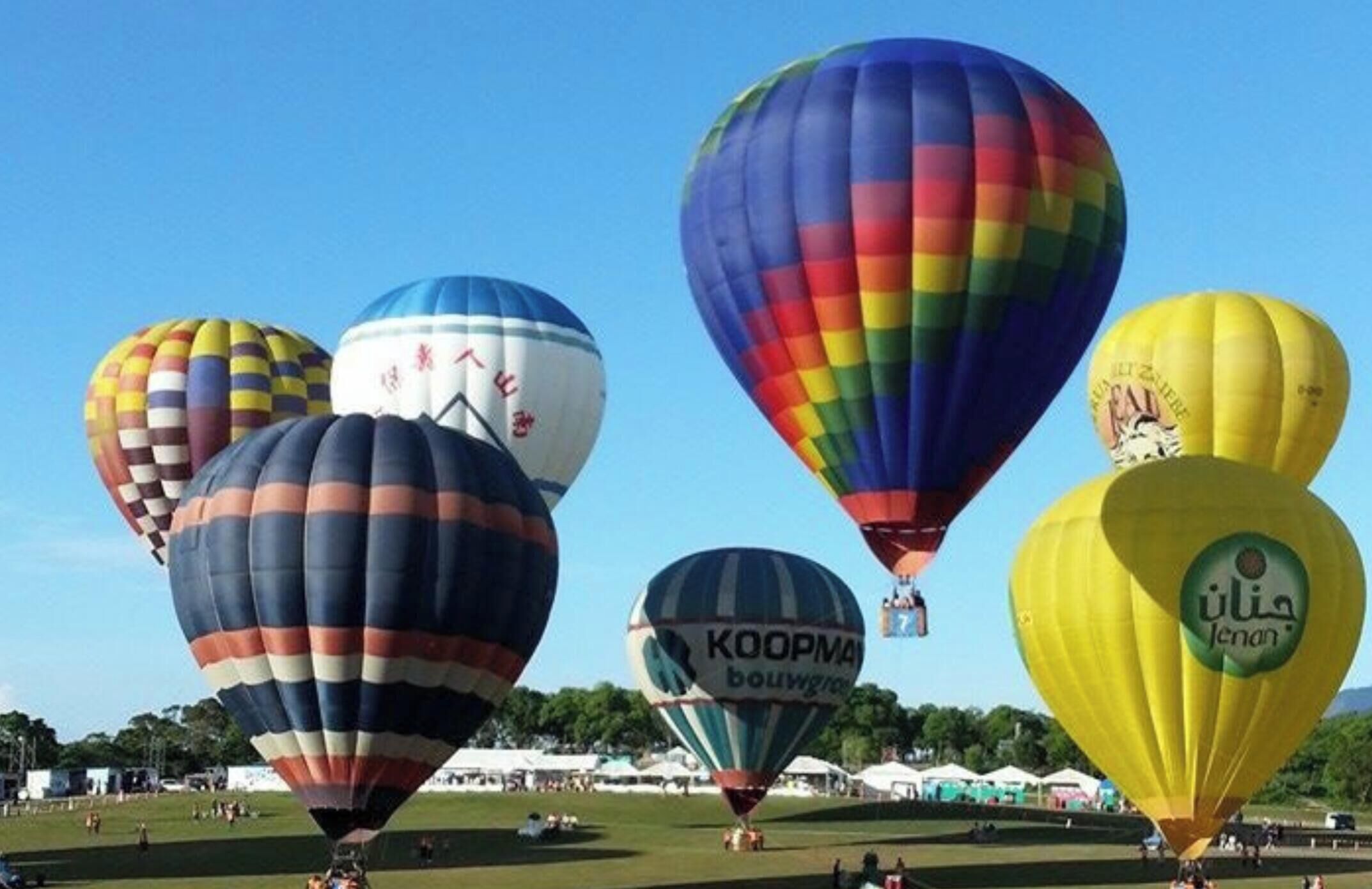 Varias globos aerostáticos en un evento con cielo despejado.