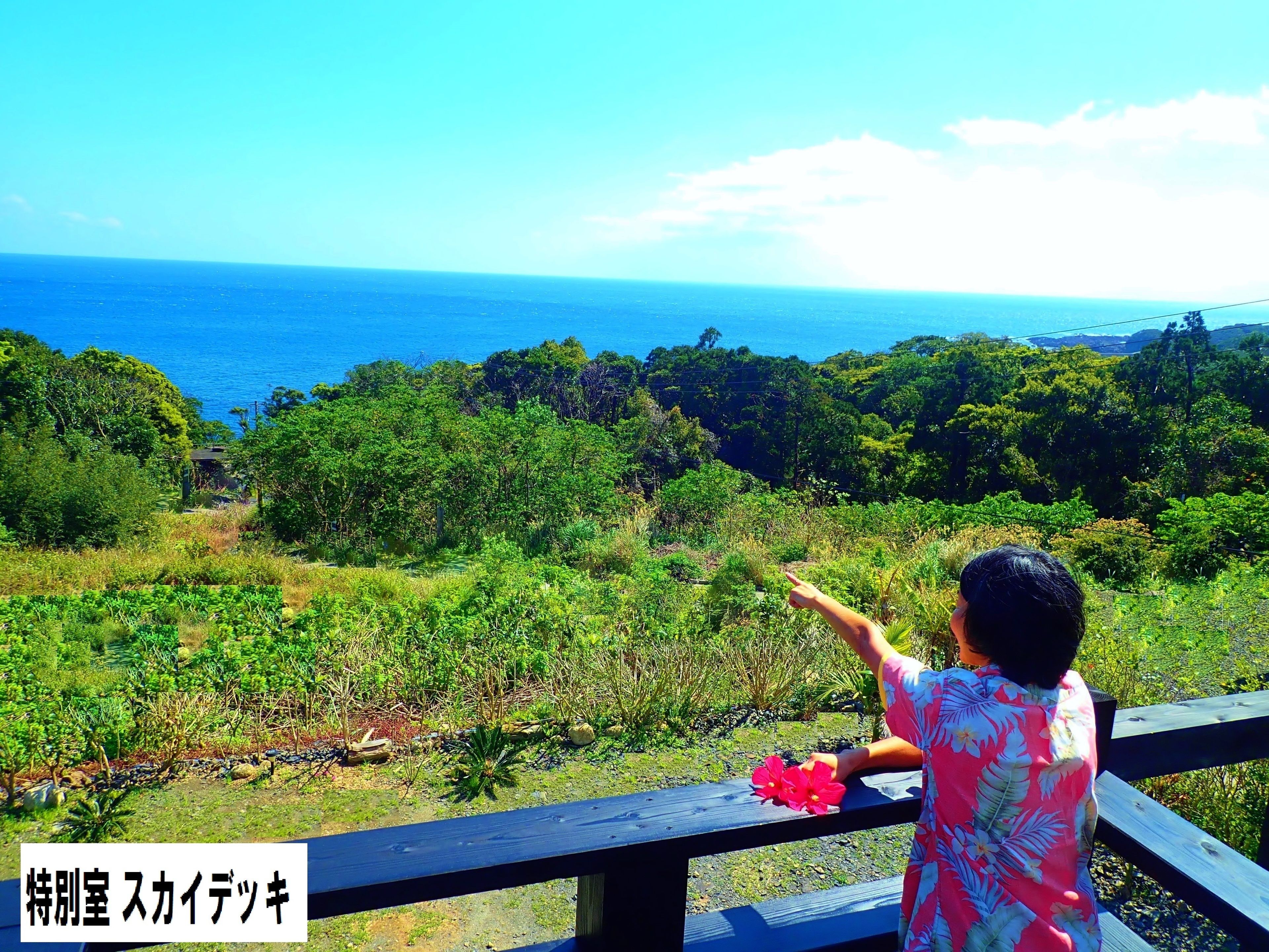A person standing on a wooden deck overlooking a coastal landscape with dense greenery and the ocean in the distance.