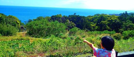 A person standing on a wooden deck overlooking a coastal landscape with dense greenery and the ocean in the distance.