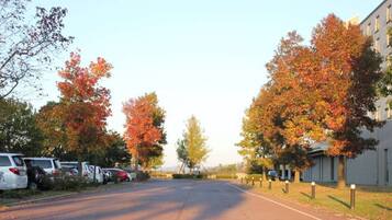 A street with parked cars and autumn trees.