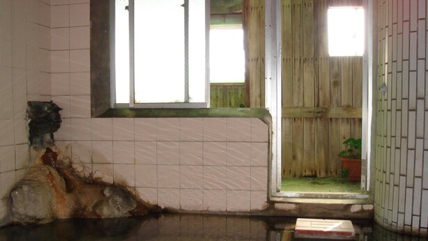 Una habitación pequeña con paredes de azulejos, una ventana, una puerta de madera y una planta pequeña cerca de la puerta.